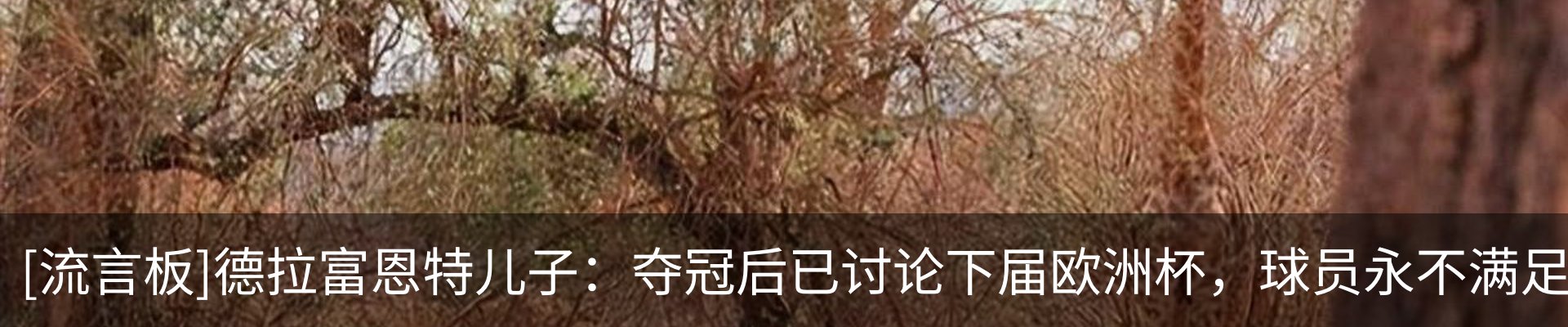 行业资讯